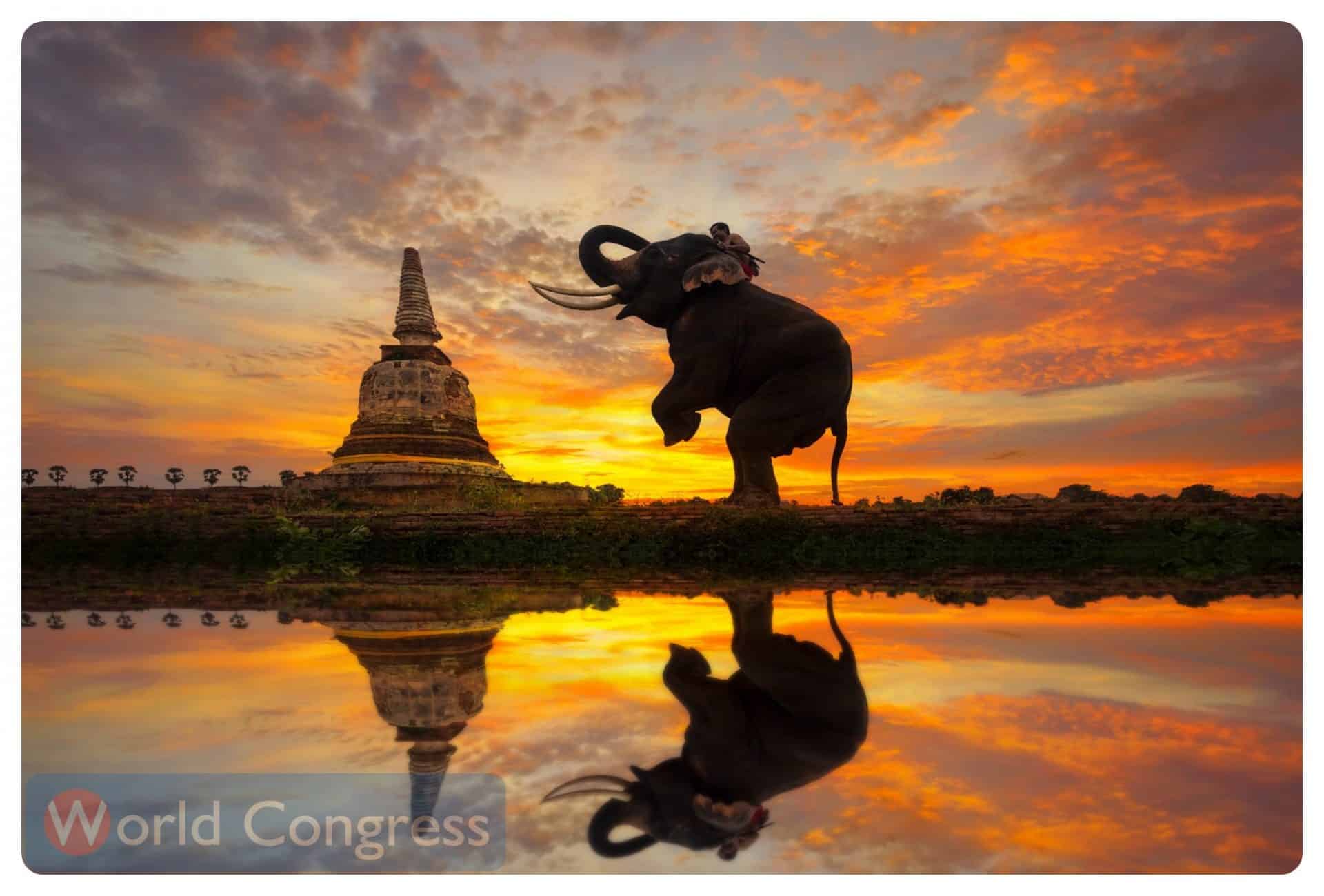 パラコートとは何ですか?